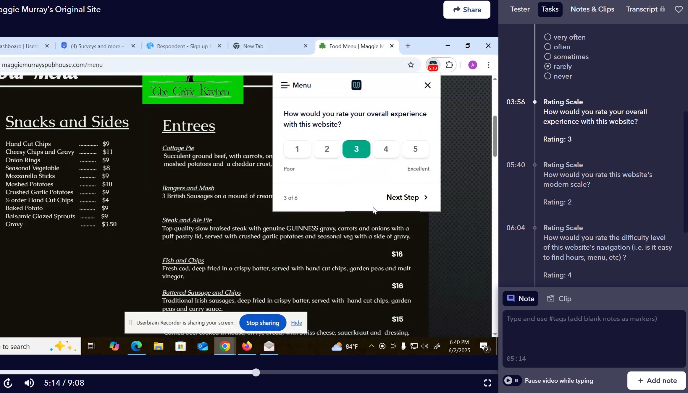 Original Website Snapshot